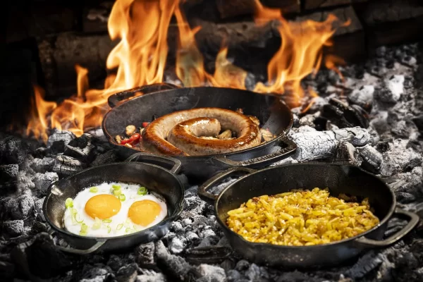 Skillet met 2 handvatten alle maten met gerechten